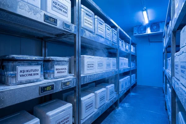 Soğuk Zincir Lojistik Hizmeti